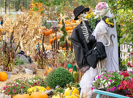 PHOTO GALLERY | flagstaffpumkinpatch